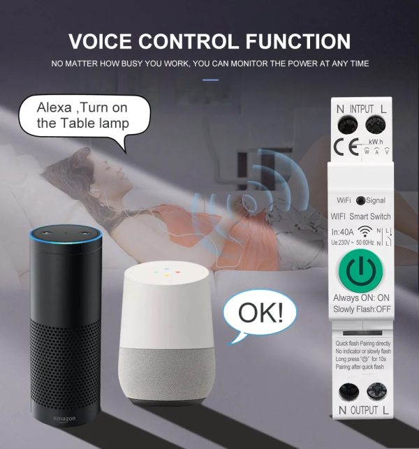 1p Wi-fi smart 63A breaker switch - Image 4