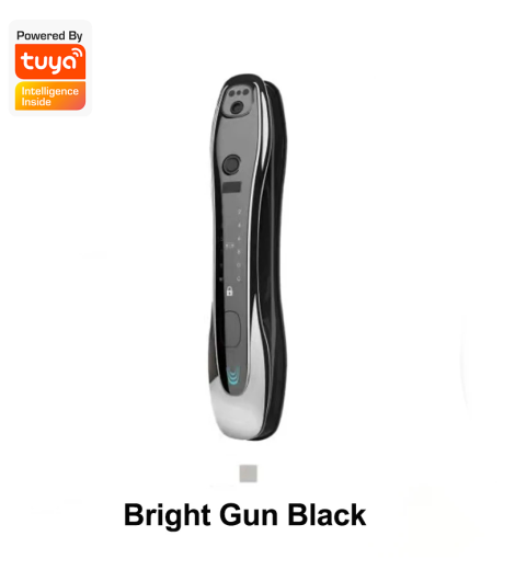 Smart Door Lock Israeli lock with video intercom - T2