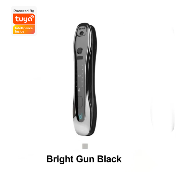 Smart Door Lock Israeli lock with video intercom - T2